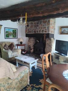 a living room with a couch and a fireplace at Maison Josselin proche château in Josselin