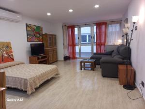 a bedroom with a bed and a living room with a couch at Alicante Centro AM in Alicante