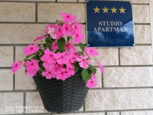 Certifikát, hodnocení, plakát nebo jiný dokument vystavený v ubytování Apartment Borna