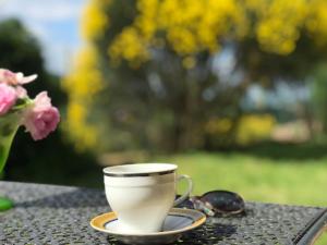 Příslušenství pro přípravu čaje a kávy v ubytování Agriturismo Melodie Toscane Sorano