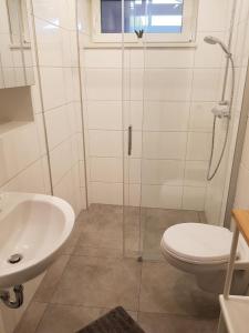 a bathroom with a shower and a toilet and a sink at Wunderschönes Appartement in Fedderwardersiel mit Terrasse in Butjadingen +7 photos