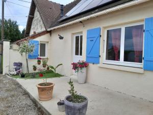 a house with blue shutters and potted plants in front of it at Maison a côté du pal in Saligny-sur-Roudon