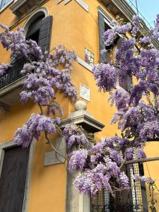 Fotografie z fotogalerie ubytování Carbonaia Venezia v Benátkách