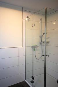 ホーヴァハトにあるMeeresblick "Seesternchen" Haus 3 WE 41のガラス張りのシャワーブース