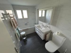 a white bathroom with a toilet and a sink at Chalet Gerbera in Wengen