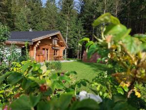 A garden outside Ferienhaus - Chalet - Lechtraum