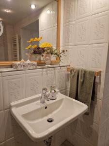 a bathroom with a white sink and a mirror at Ferienwohnung Carola Scholze in Kamenz