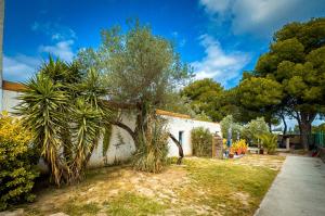 Κήπος έξω από το La Cigaliere en Cote Vermeille