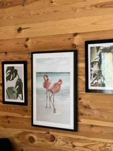 two framed pictures of flamingos on a wall at Hygge Lodge Annecy in Doussard
