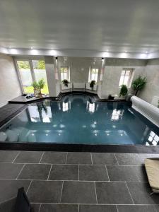 a large swimming pool with blue water in a building at Haus mit Pool Großschönau in Großschönau