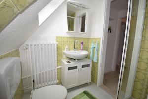 a bathroom with a sink and a shower at Haus Steinkamp in Blekendorf +41 photos
