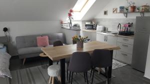 Kuchyň nebo kuchyňský kout v ubytování Studio apartman GRIZZLY