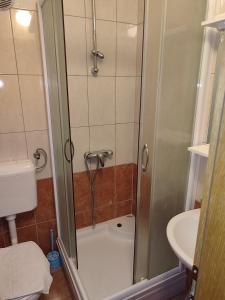 a shower with a glass door in a bathroom at Rooms Zdravko and Nevenka Cilic in Međugorje