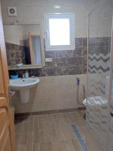 a small bathroom with a sink and a shower at Olivier 2 in Potinville