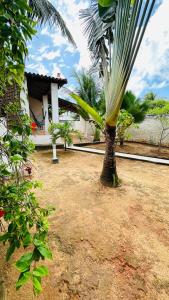 Gallery image of B&B Residencia Casa Branca in Sítio