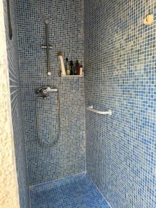 a bathroom with a shower with blue tiles at La Casita in Ciudad Quesada