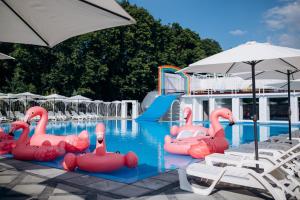 a pool with pink inflatable flamingos and a water slide at Кузня міні-готель СПА ЗОНА та сніданки входять у вартість in Mateyevtsy