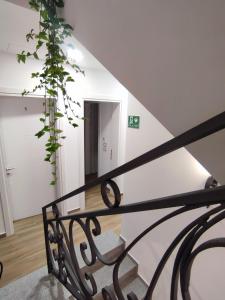 クサミルにあるHotel PAJA Ksamilの植物家の階段