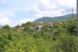 a group of houses on top of a hill at Collage Guesthouse in Alaverdi