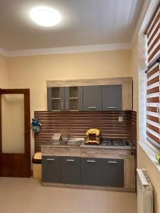 a kitchen with a sink and a stove at Apartament Profy in Jurilovca