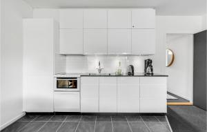 Η κουζίνα ή μικρή κουζίνα στο Awesome Apartment In Ringkøbing +16 φωτογραφίες