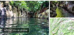 Bilde i galleriet til gîte de forêt de Guadeloupe i Petit-Bourg