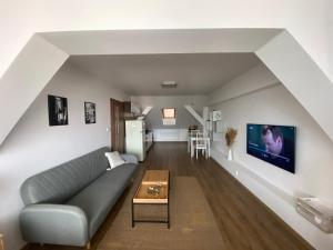 TV a/nebo společenská místnost v ubytování Černý Tulipán - apartmán 6