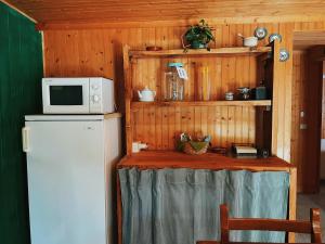 a small kitchen with a refrigerator and a microwave at Casa Maitö in Senarega +17 photos