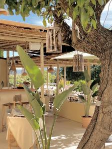 a restaurant with a tree in the foreground at Toile Blanche in Saint-Paul-de-Vence