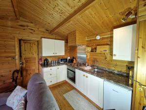 Kuchyň nebo kuchyňský kout v ubytování Polgwedhen Lodge + 37 fotografií
