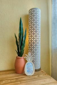 a plant and a vase on a wooden shelf at #StayinMyDistrict Heritage House Apt in Coos Bay