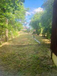 un campo de hierba con árboles a lo lejos en Country Guest House, en Packules Ciems 17 fotos más