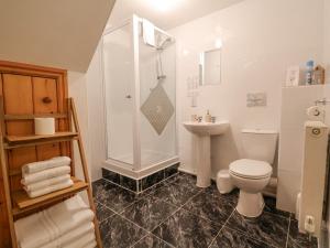 a bathroom with a shower and a toilet and a sink at Henblas Cottage in Abergele +43 photos