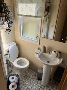a bathroom with a toilet and a sink and a mirror at Hornshole Hideaway Caravan Hawick in Hawick