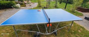 Stolní tenis v ubytování Ubytování pod Třešní nebo okolí