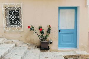 a blue door and a plant next to a building at Charming and authentic in Cospicua in Cospicua