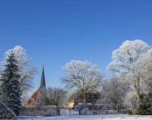 a church in the snow with a christmas tree at Damwildhof Fewo zur Linde in Blievenstorf +3 photos