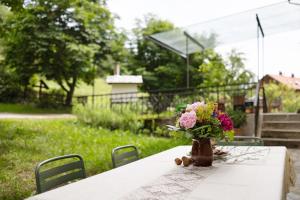 Ansitz Baumannhof Apt Mitte外面的花园