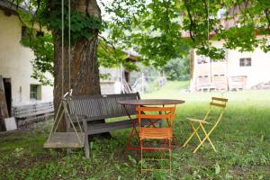 Ansitz Baumannhof Apt Mitte外面的花园