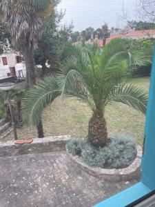 Gallery image of BigBlue house in Veli Lošinj +44 photos