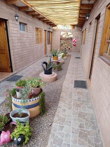 a row of potted plants on a patio at Hostal Km Zero - El Senor del Lascar in San Pedro de Atacama