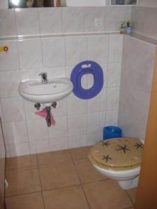 ein Badezimmer mit Waschbecken und Toilette in der Unterkunft Ferienhaus in ruhiger Lage, mit Balkon und großer Terrasse in Aschau im Chiemgau + 7 Fotos