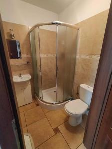 a bathroom with a shower and a toilet and a sink at Pokoje u Ani in Zastań