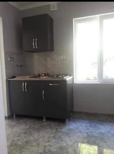 Η κουζίνα ή μικρή κουζίνα στο Likani House 1 +9 φωτογραφίες