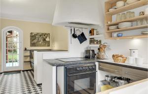 ホーンバックにあるGorgeous Home In Hornbæk With Kitchenのコンロとカウンタートップのあるキッチン
