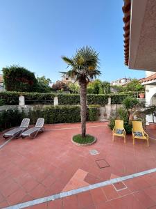three chairs and a palm tree on a patio at Case Vacanze Torre Petrosa in Villammare