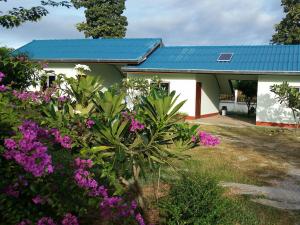 Zahrada ubytování EiDI Homestay