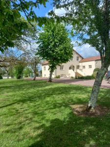 a yard with two trees in front of a house at La Clef du Bonheur Maison de vacances entre Loire et Vignobles in Herry