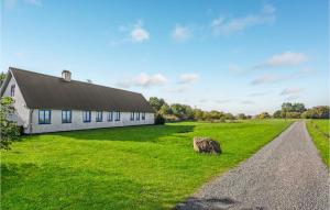 KlemenskerHøjvang的路边绿色田野上的房屋