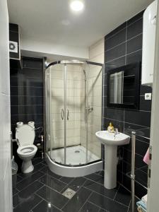 ein Badezimmer mit Dusche, Toilette und Waschbecken in der Unterkunft Aleksandra in Ohrid